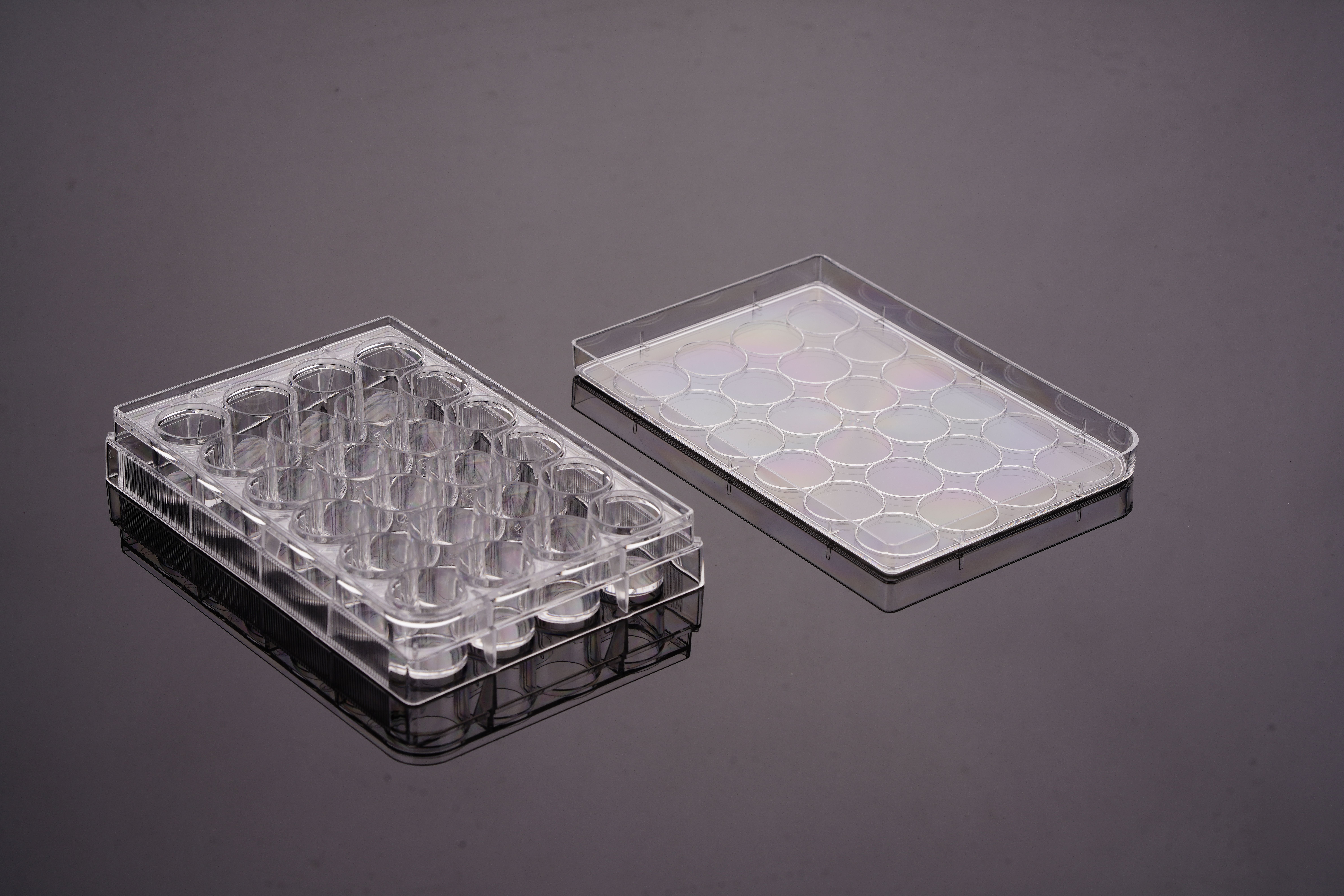 24 Well Cell Culture Plate, Non-TC Treated, Flat Bottom, Sterile, PS