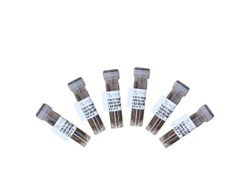 Amino-Activated MagPoly Beads