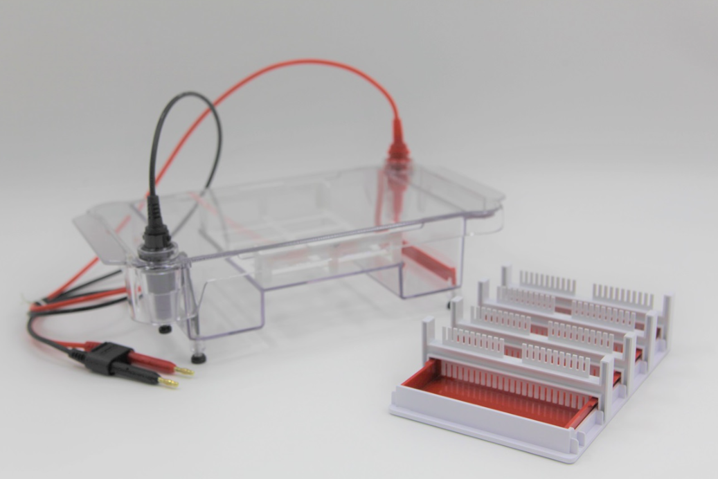HE220 High-throughput Horizontal Electrophoresis Cell