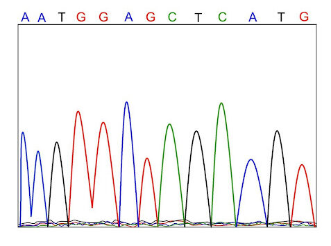 Sanger Sequencing Results: How to Read Chromatograms